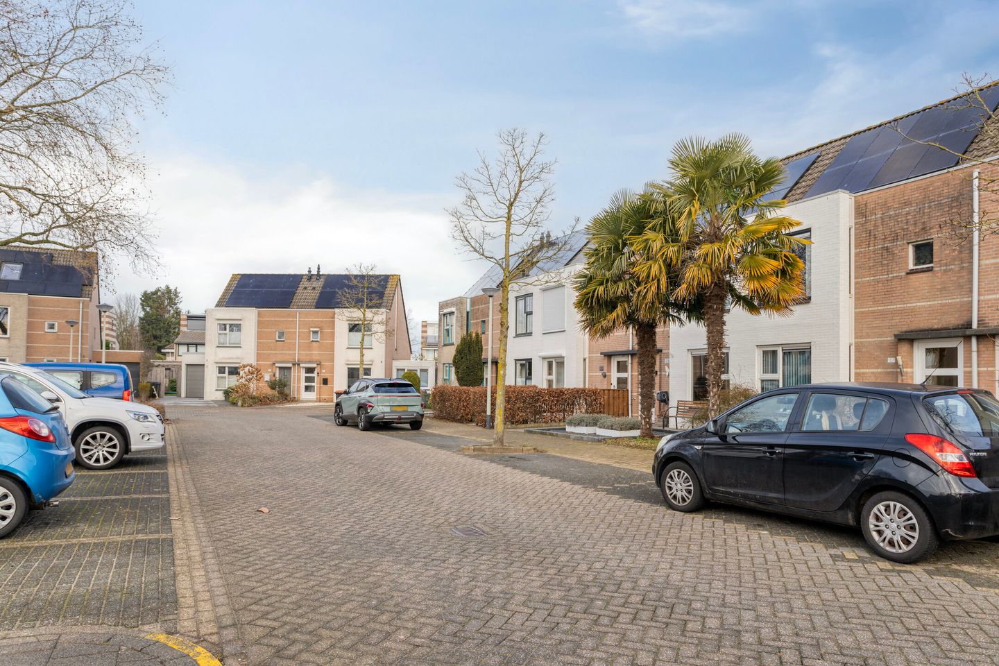 Foto 40 van Klimopberg 137