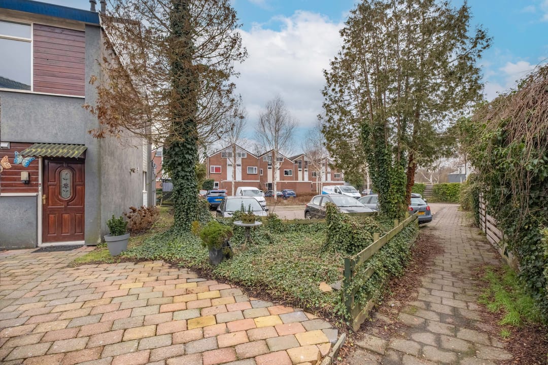 Foto 7 van Kamgras 181