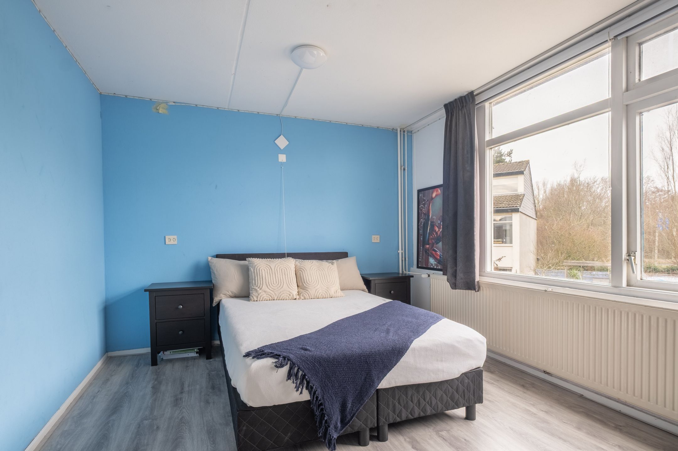 Foto 24 van Kamgras 181