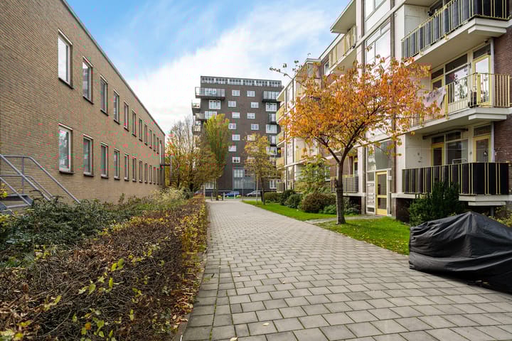 Photo 30 of 3e Eeldepad 54