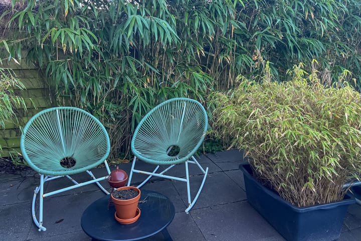 Foto 40 van Bieremalaan 57