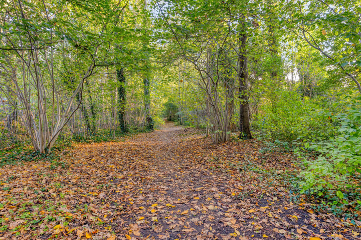 Foto 41 van Duivenhof 9