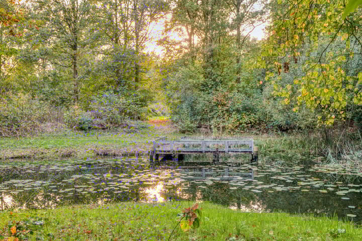 Foto 43 van Duivenhof 9