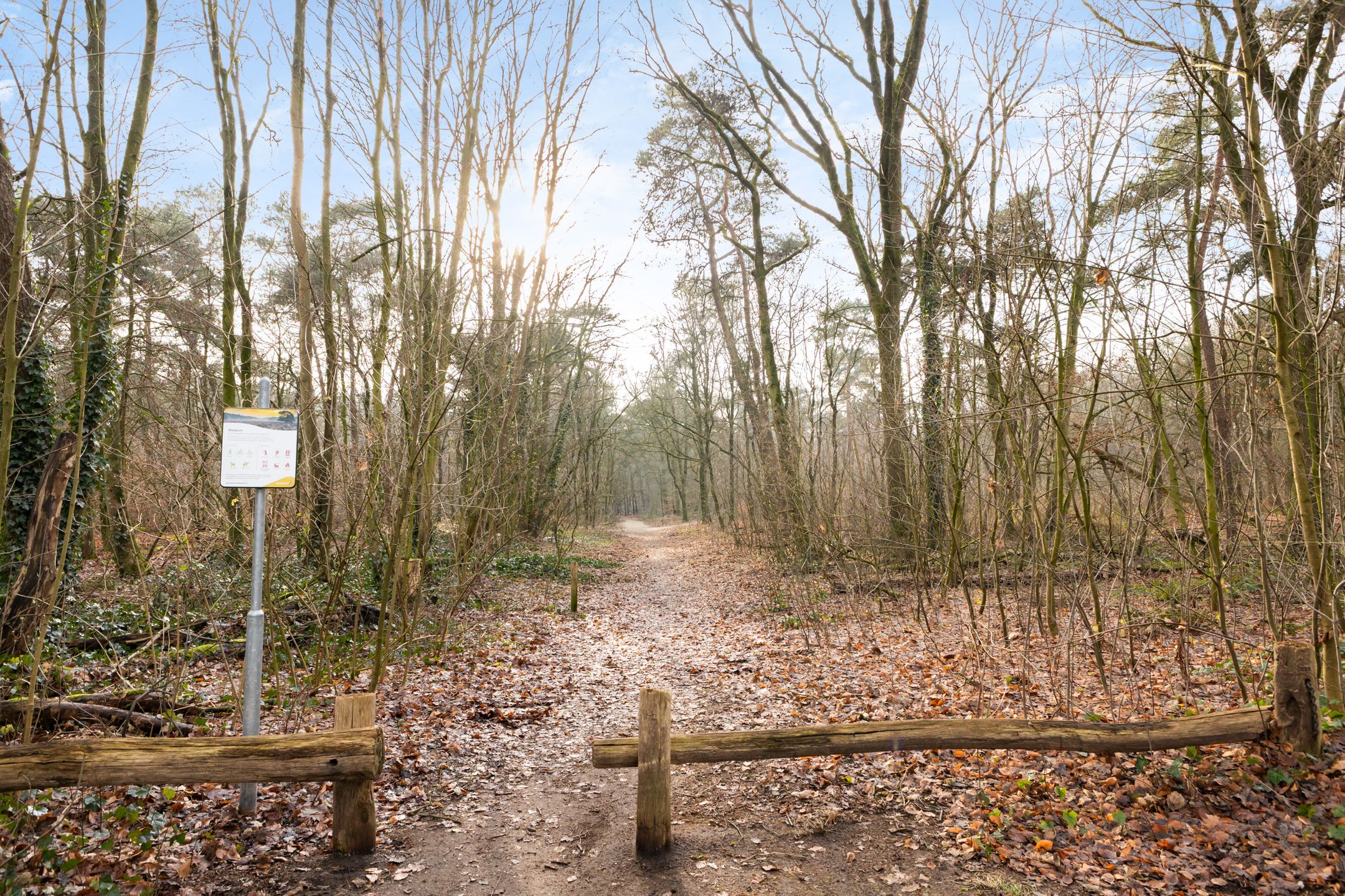 Foto 54 van Gruttostraat 13