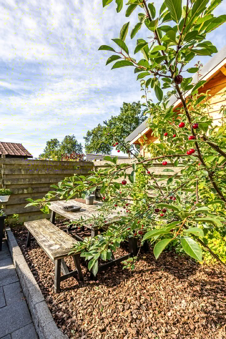 Foto 50 van Ben Walrechtstraat 9