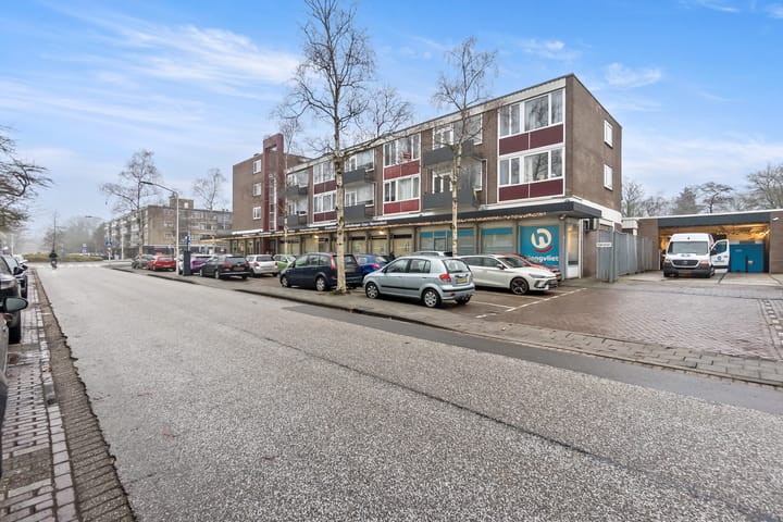 Foto 29 van Brahmslaan 293