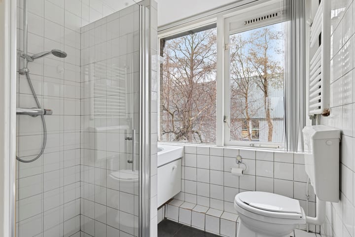 Foto 21 van Frans Halsplantsoen 13