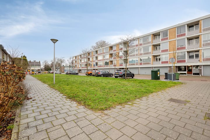 Foto 31 van Frans Halsplantsoen 13