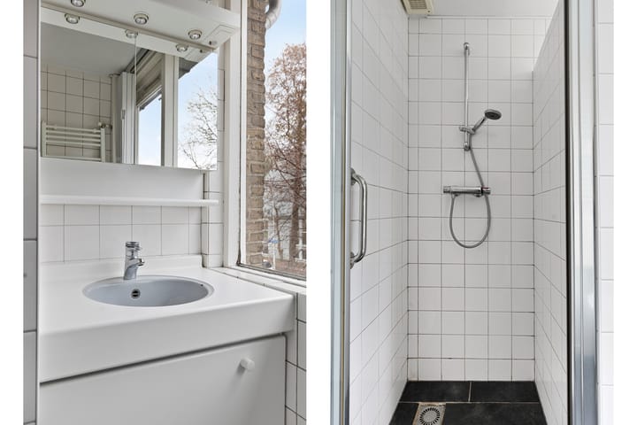 Foto 19 van Frans Halsplantsoen 13