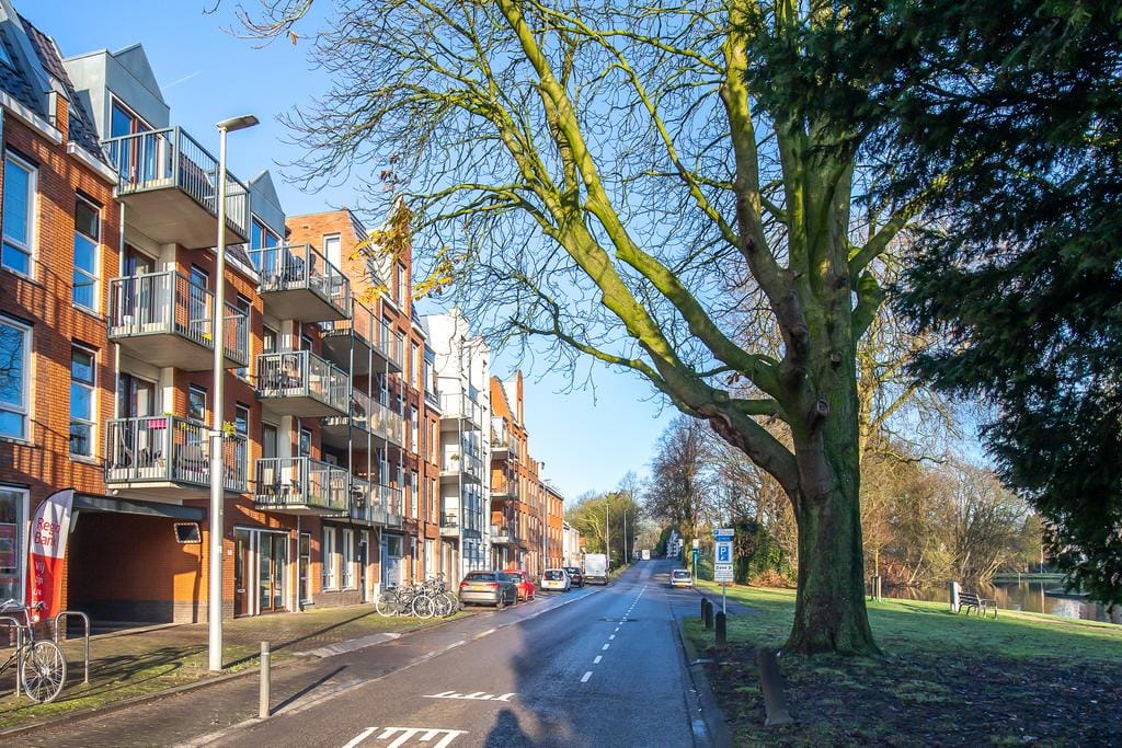 Photo 4 of Plantsoen 7-36