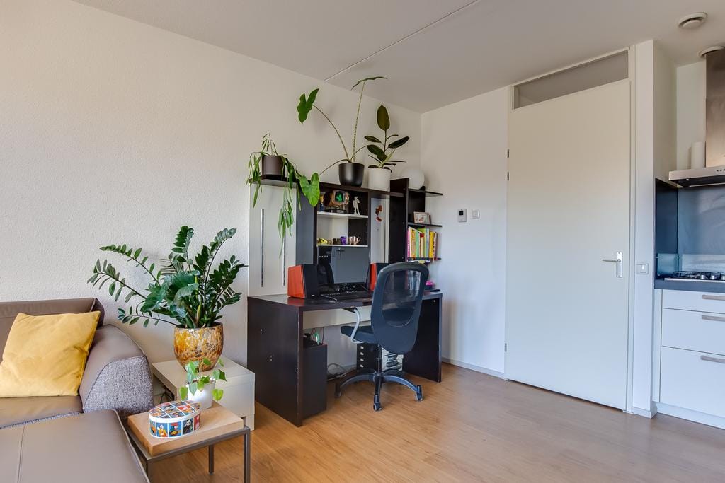 Photo 17 of Plantsoen 7-36