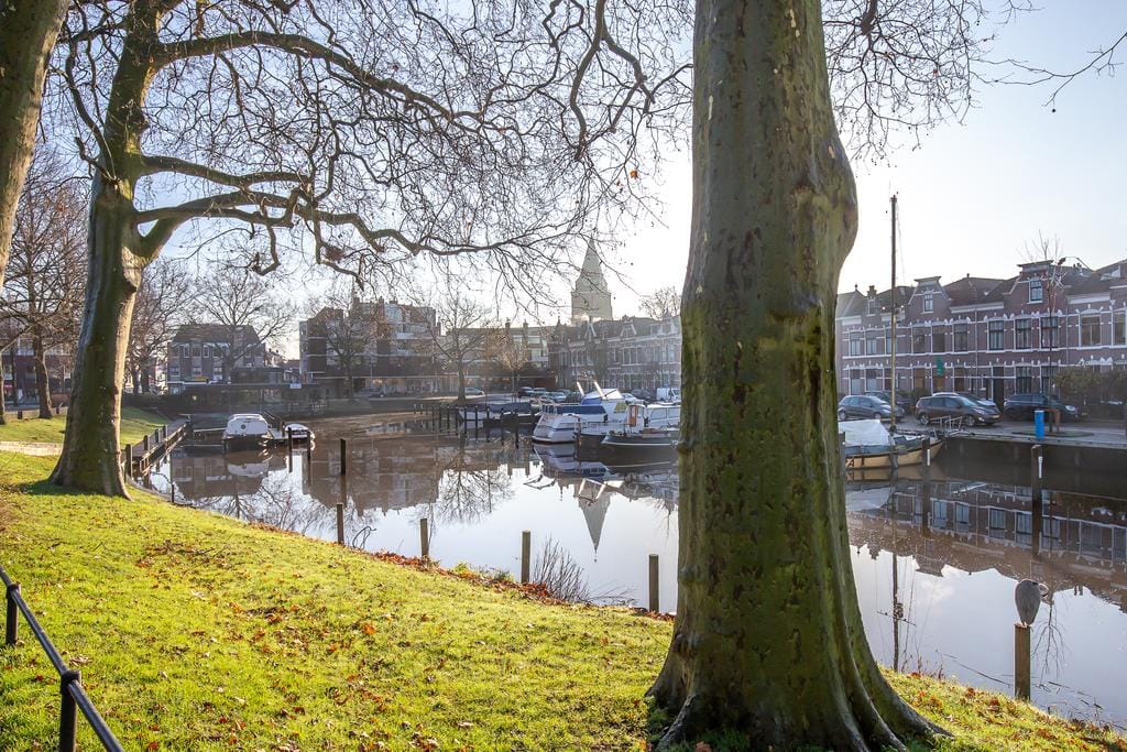 Photo 41 of Plantsoen 7-36