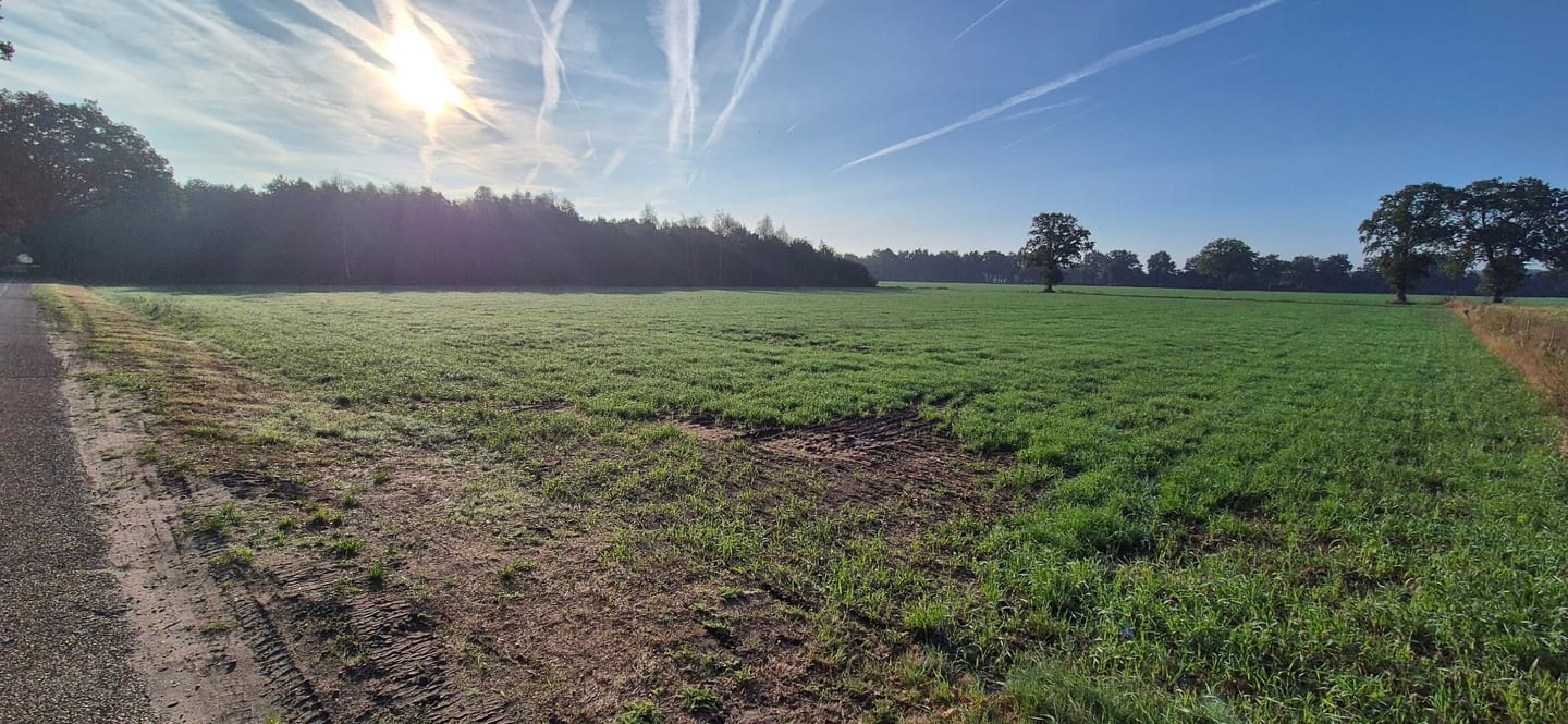 Bekijk foto 2 van Millsebaan