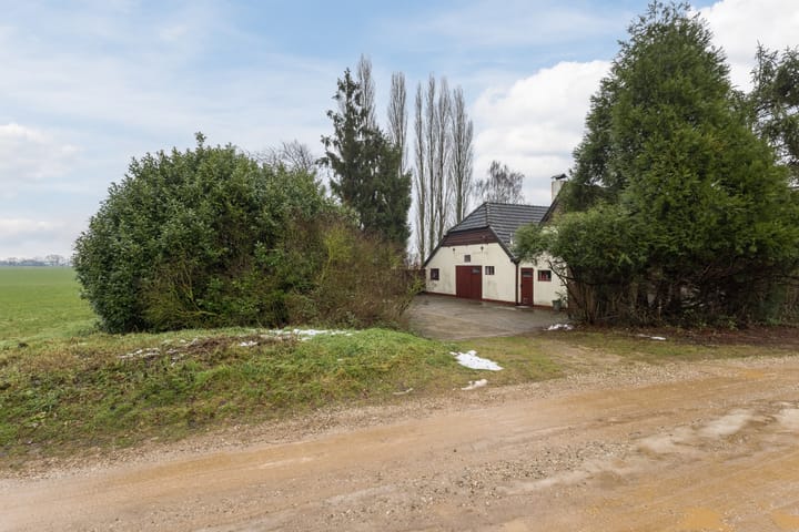 Foto 37 van Korenveld 1