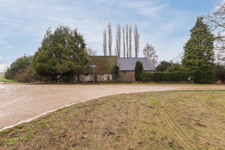 Foto 39 van Korenveld 1