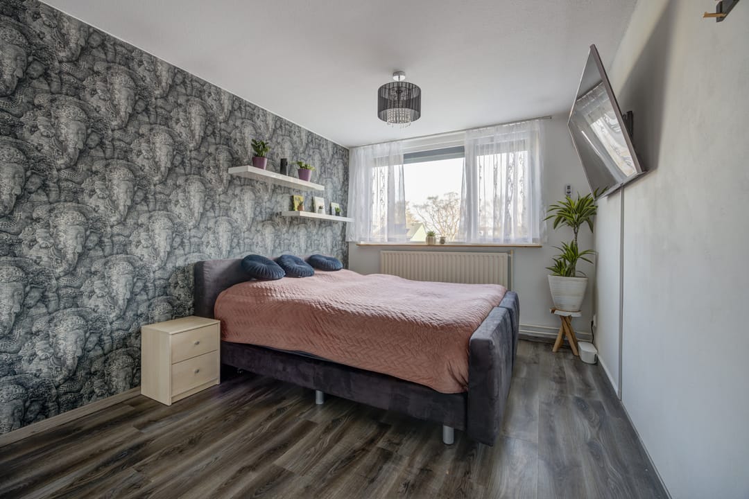 Foto 17 van Paukeslag 56