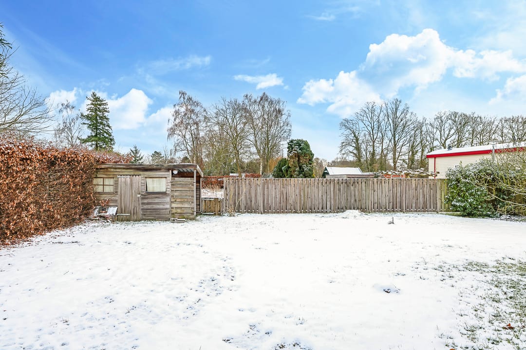 Foto 2 van Olmiuslaan 19