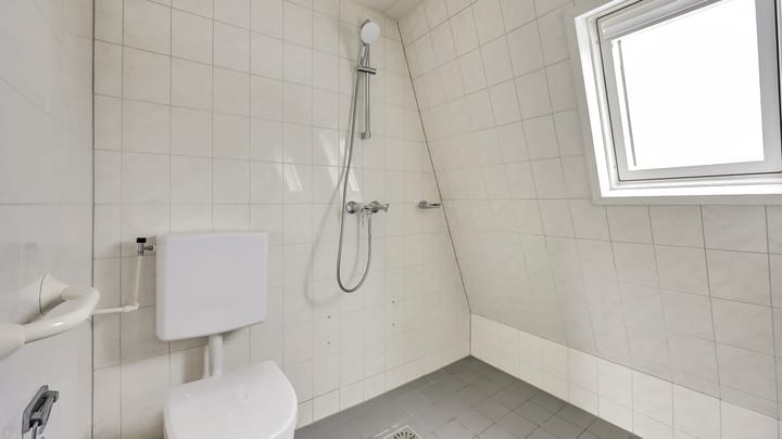 Photo 19 of De Ibis 8