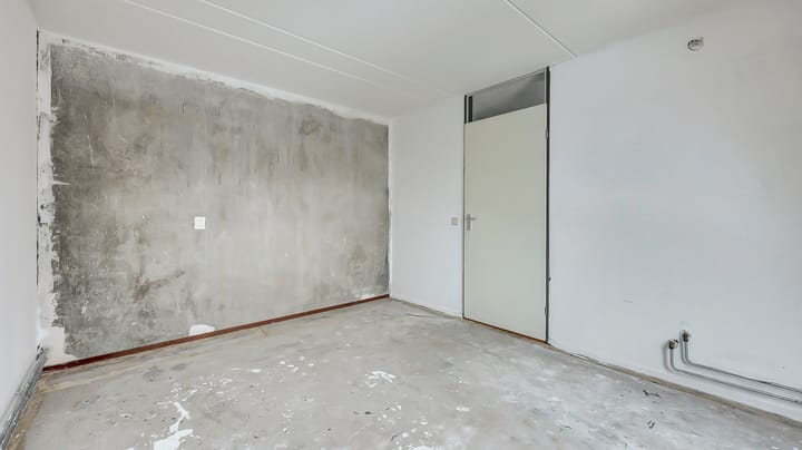 Photo 15 of De Ibis 8