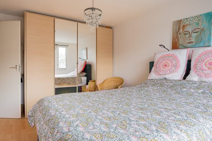 Foto 28 van Ruinerbrink 217