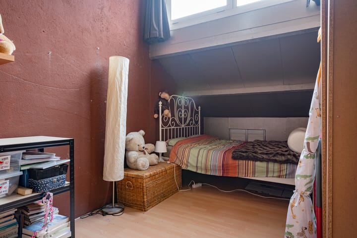 Foto 35 van Ruinerbrink 217