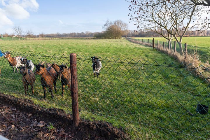 Foto 49 van Oude Sluisweg 7