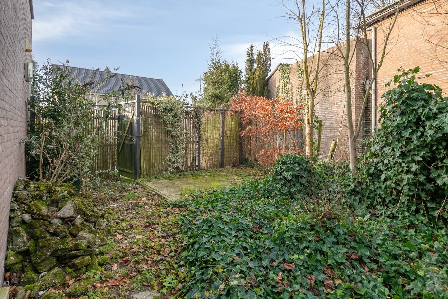 Foto 44 van Barthold van Heesselstraat 7