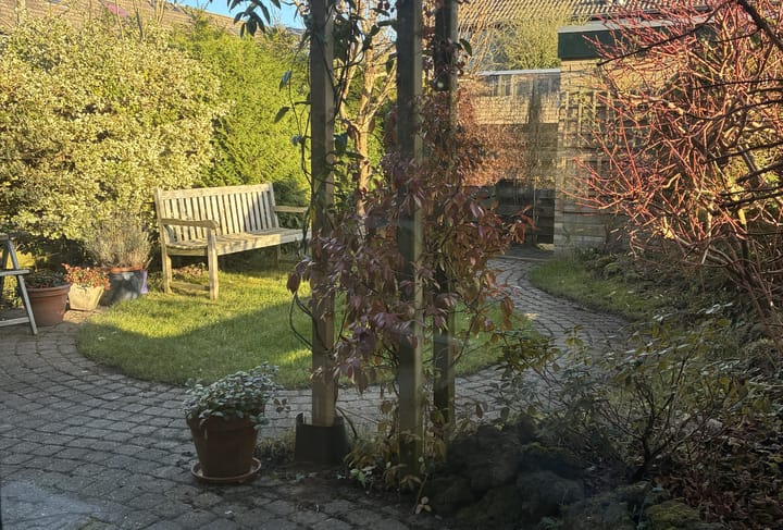 Foto 17 van Wilsonstraat 185