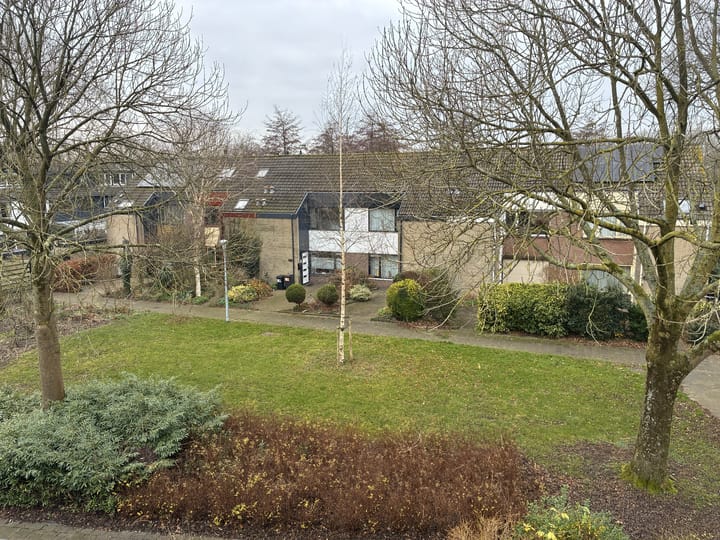 Foto 36 van Wilsonstraat 185