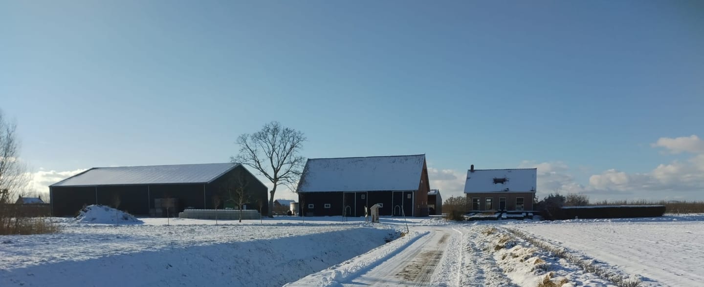 Bekijk foto 3 van Bouwensputseweg 1