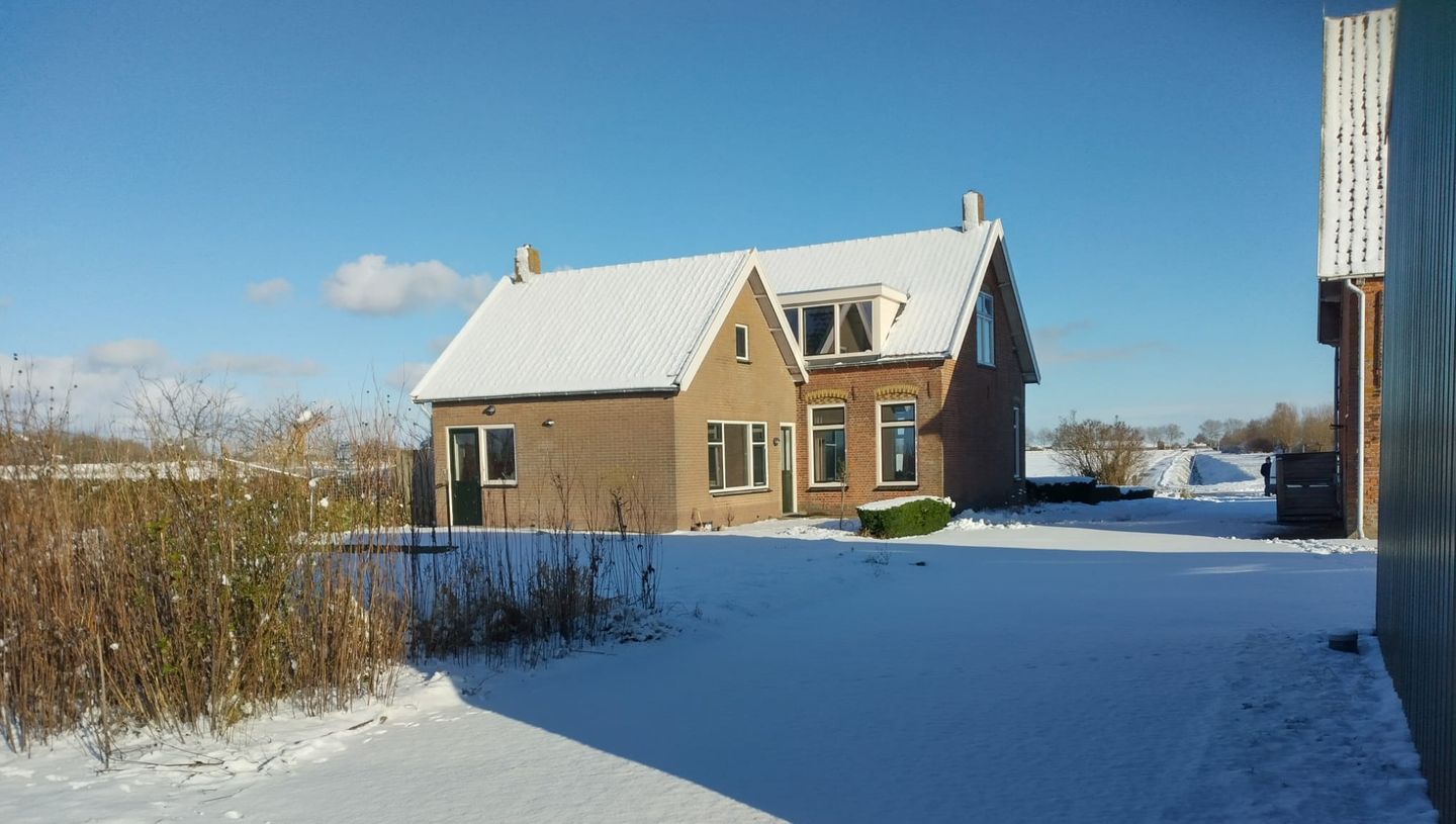 Bouwensputseweg 1 - Wolphaartsdijk - Afbeelding 7