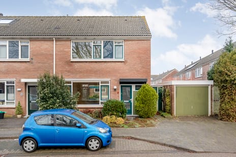 Johan de Wittstraat thumbnail