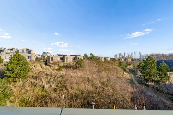 Photo 48 of Duinstraat 21