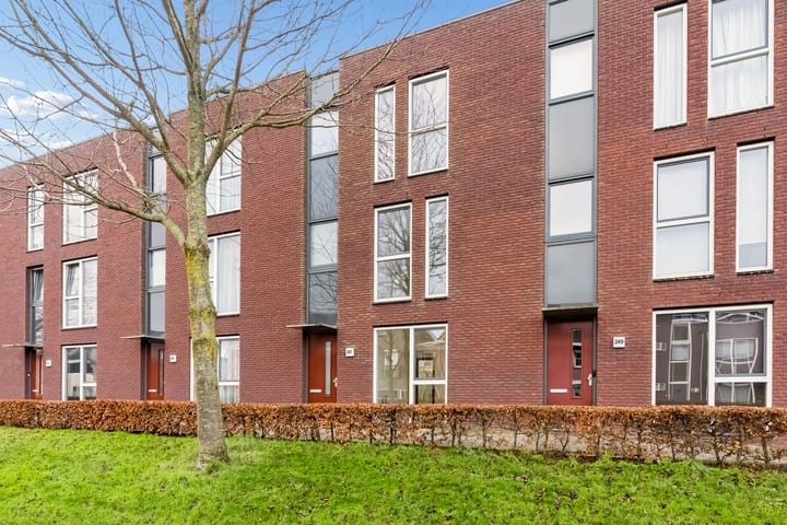 Boelijn 247 main image