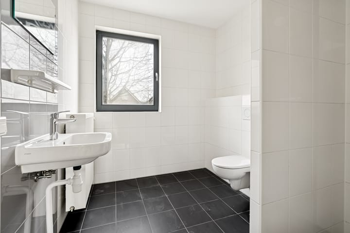 Photo 26 of Boelijn 247