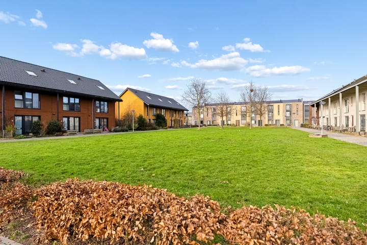 Photo 35 of Boelijn 247