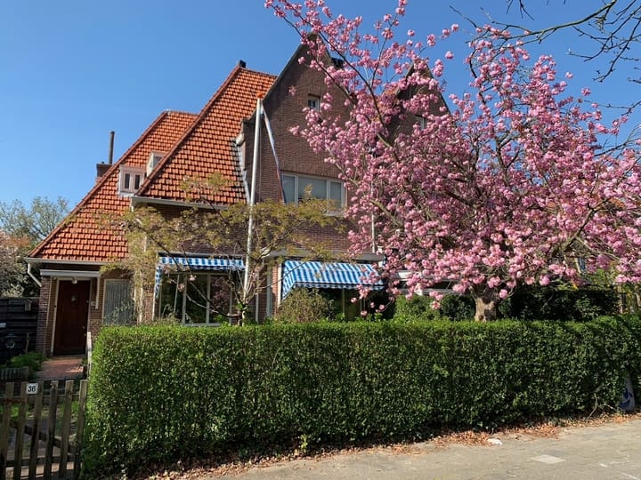 Foto 6 van Warmonderweg 36