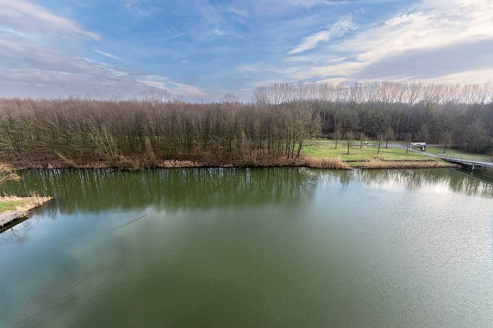 Foto 37 van Emily Brontësingel 245