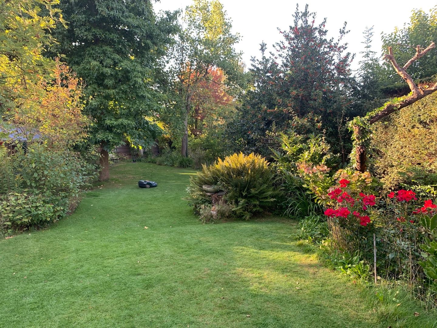 Foto 29 van Warmonderweg 36