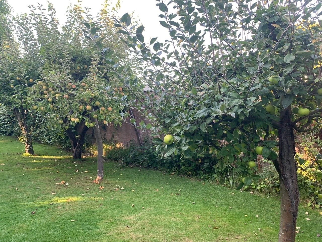 Foto 33 van Warmonderweg 36