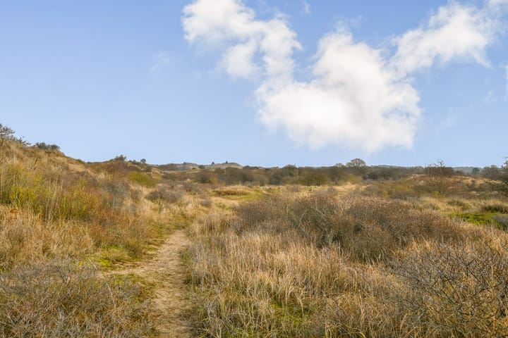 Foto 35 van Keesomstraat 34