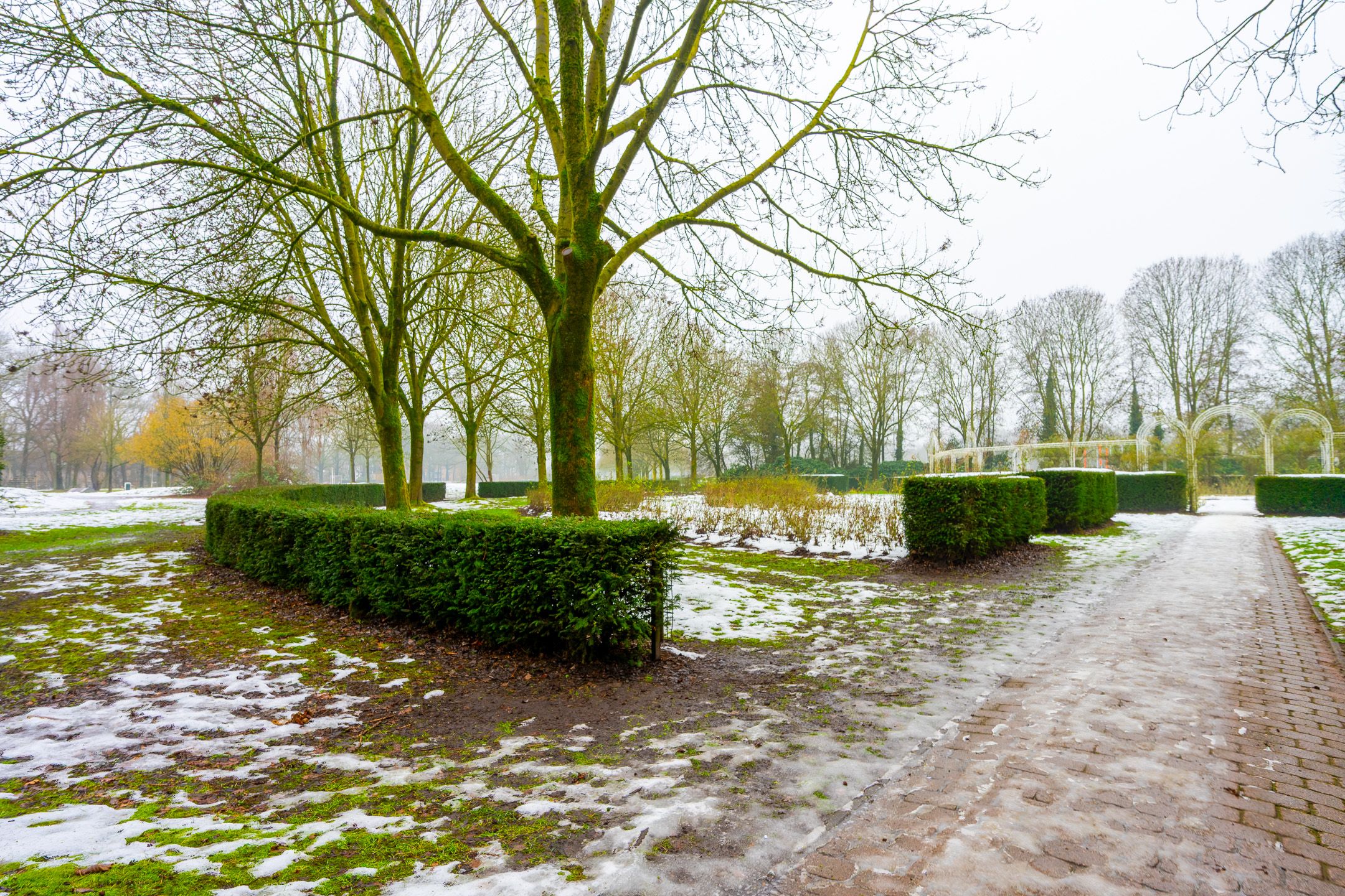 Foto 54 van Amelisweerd 117