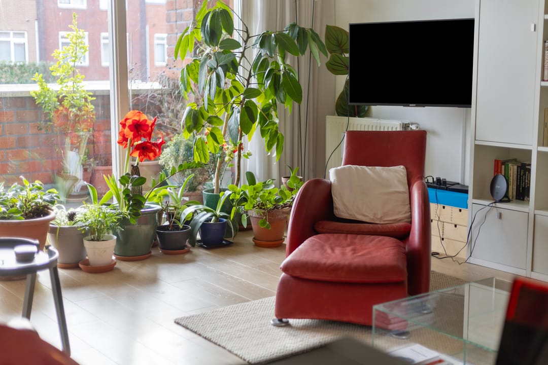 Foto 13 van Hoornwerk 160