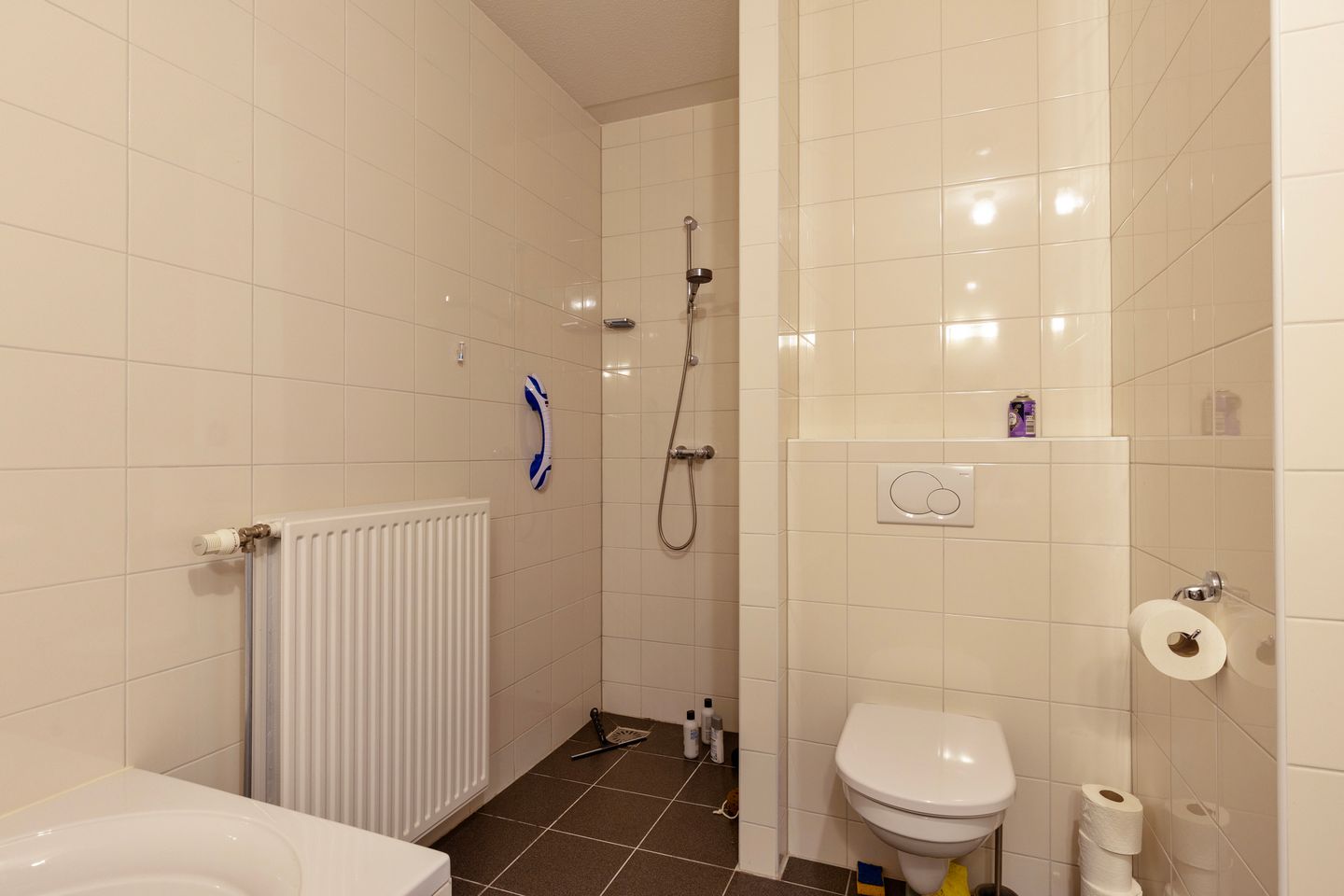 Foto 29 van Hoornwerk 160