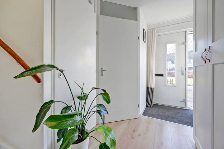 Photo 6 of Dukaat 22