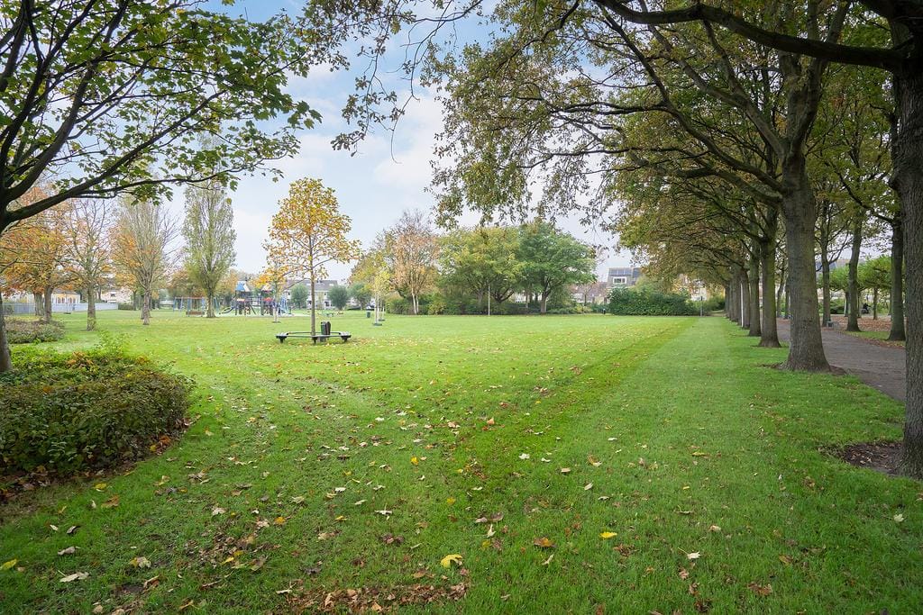 Foto 30 van Dreeslaan 29