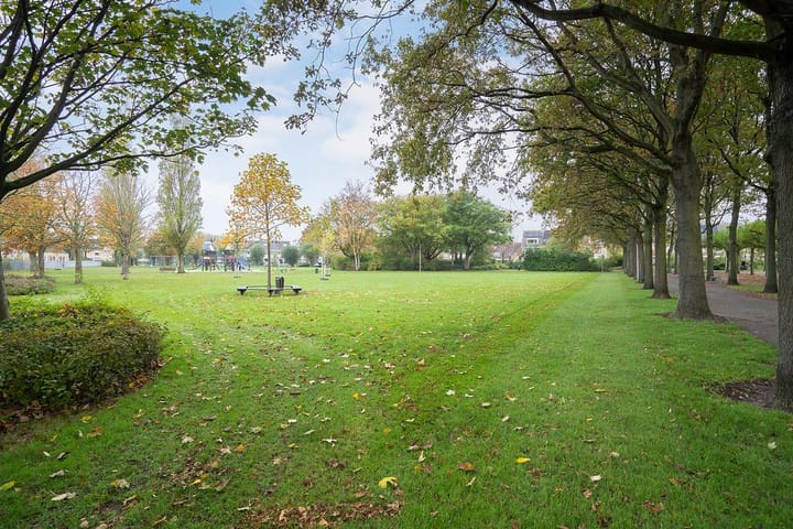 Foto 30 van Dreeslaan 29