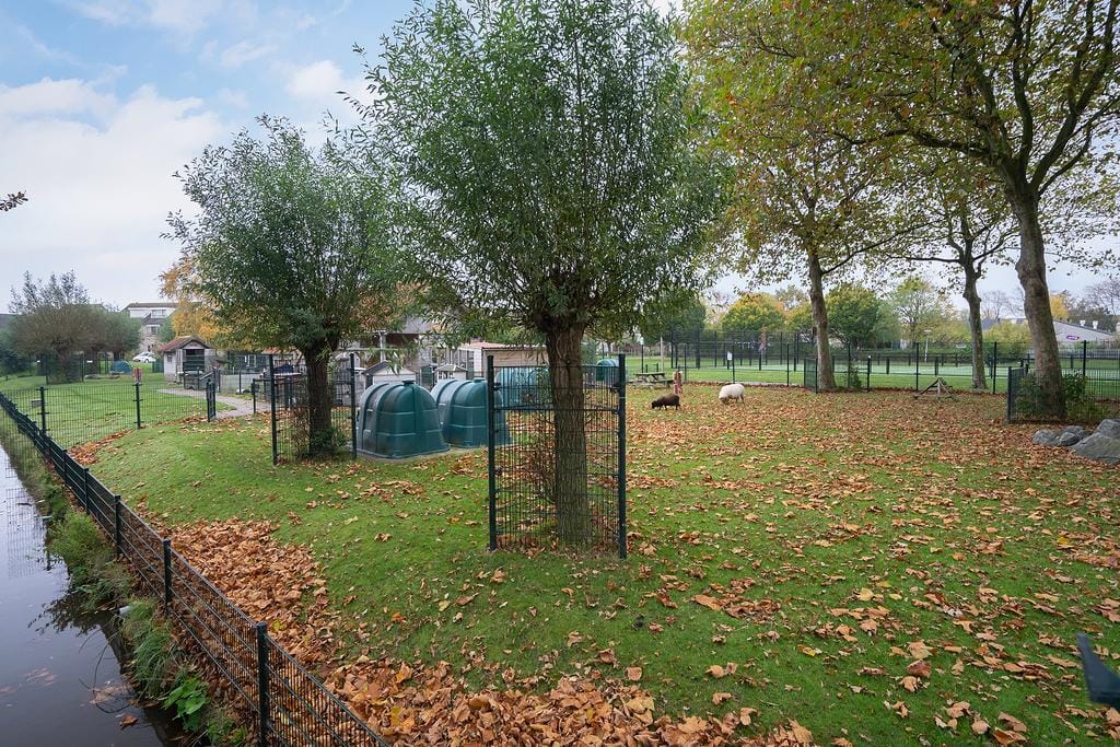 Foto 31 van Dreeslaan 29