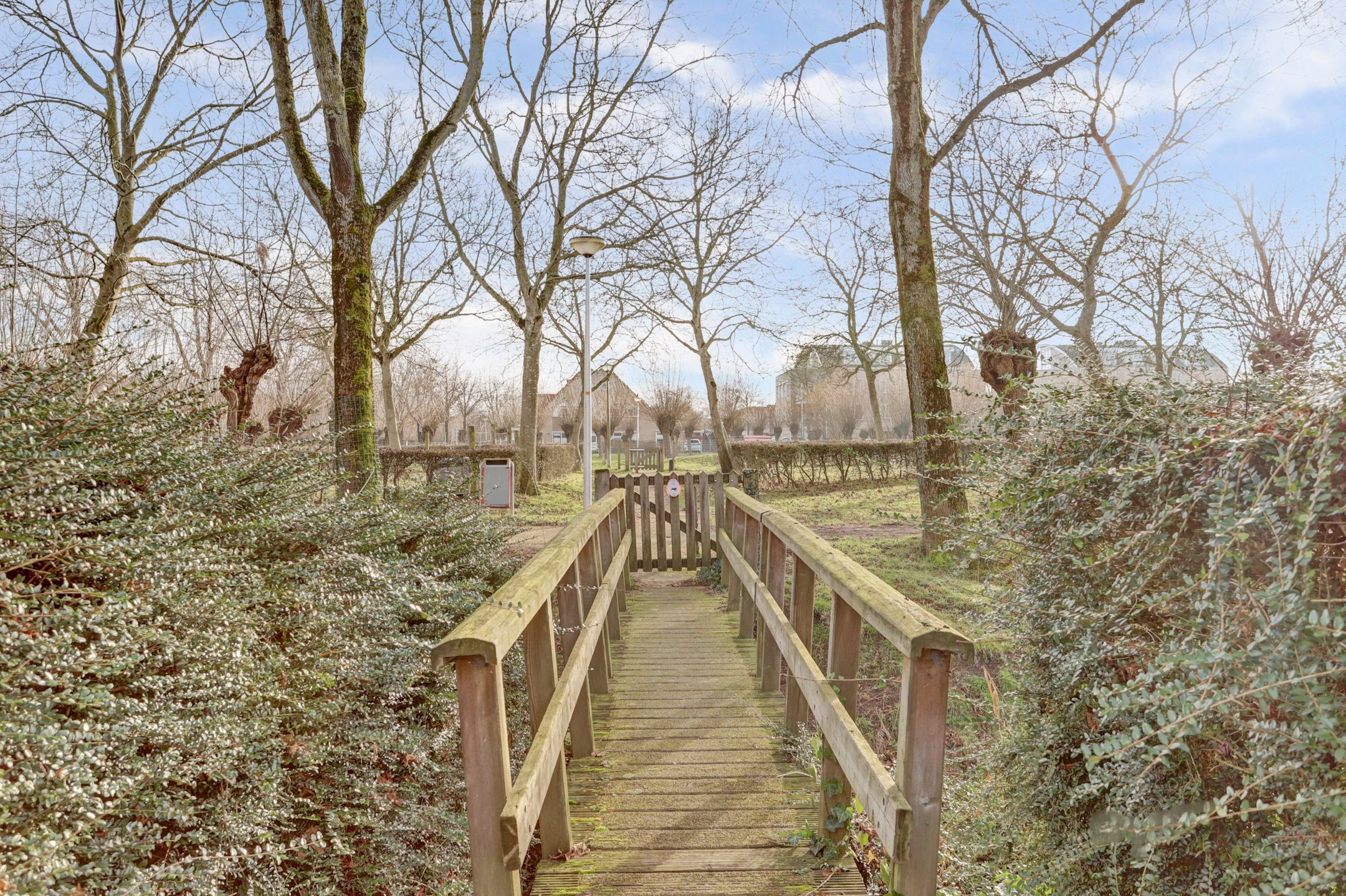 Photo 48 of Dommelstraat 6