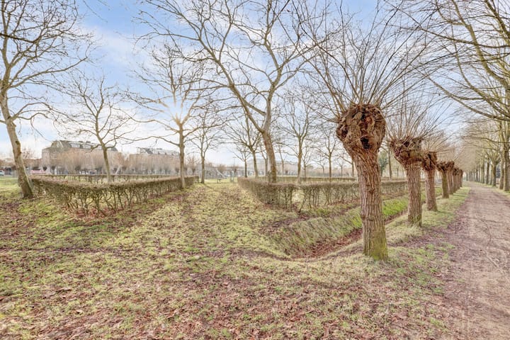 Foto 49 van Dommelstraat 6